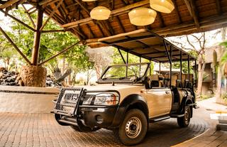 Game Drive Vehicle