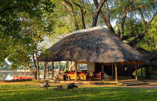 Nkwali Camp