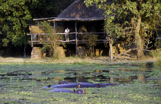 Mfuwe Lodge