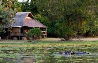 Mfuwe Lodge