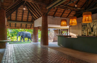 Mfuwe Lodge reception and courtyard