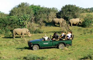 Game drives