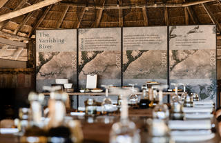 Wilderness Savuti