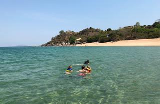 Snorkle
