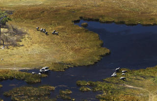 Selinda Reserve Landscape