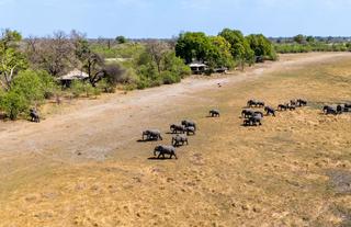 Zarafa Camp - Aerial View