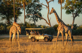 Game Drive