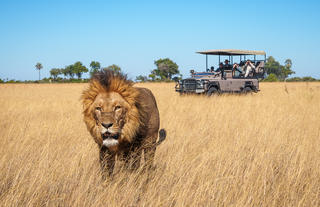 Game Drive