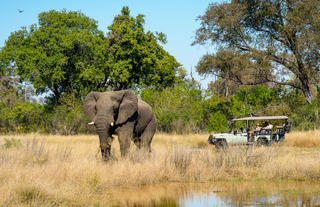 Game Drive