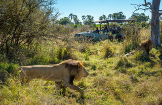Game Drive