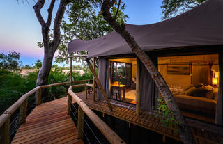 Jacana Camp Room