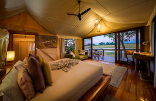 Jacana Camp Room