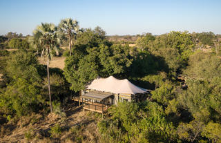 Tubu Tree Camp