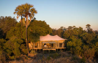 Tubu Tree Camp
