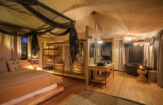 Tubu Tree Camp Family Room