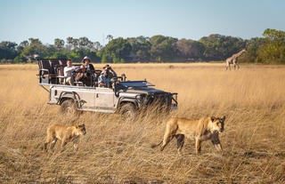 Game Drive