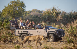 Game Drive