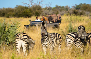 Game Drive