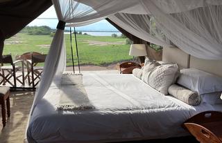 Honey Bear Bush Camp - Jamie Thom