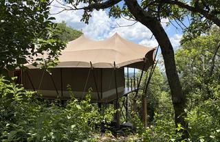 Pabidi Lodge - Jamie Thom