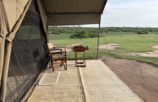 Honey Bear Bush Camp - Jamie Thom