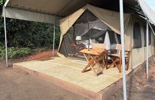 Honey Bear Bush Camp - Jamie Thom