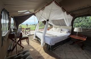 Honey Bear Bush Camp - Jamie Thom