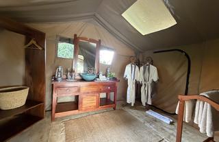 Honey Bear Bush Camp - Jamie Thom