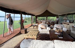 Honey Bear Bush Camp - Jamie Thom