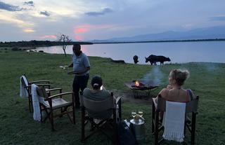 Honey Bear Bush Camp - Jamie Thom