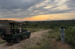 Honey Bear Bush Camp - Jamie Thom