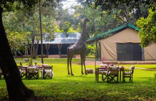 Dining & Lounge Tents - Outdoor Ambience
