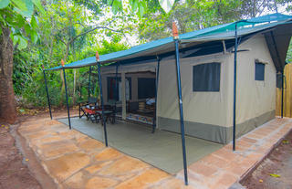 Double Tent - Exterior View