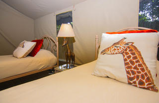 Guest Tent - Detail Shot (2)