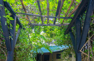 Guest Tent - Pathway and Pergola View