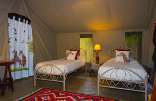 Twin Tent - Interior View
