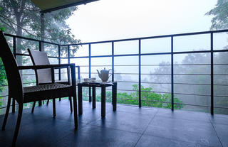 Wayanad Wild
