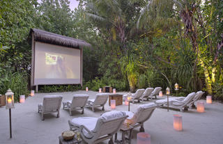 Jungle Cinema