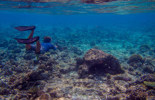 Snorkelling Trip
