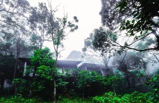 Wayanad Wild