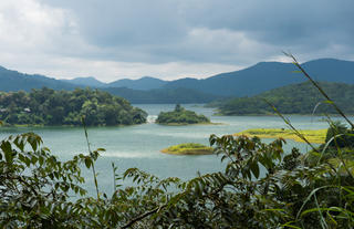 Wayanad Wild
