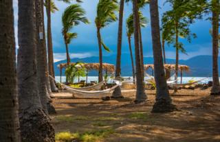 Hammock garden