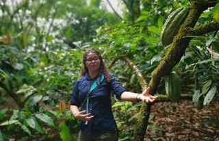 Guided Chocolate Tour