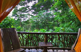 La Tigra Rainforest Lodge