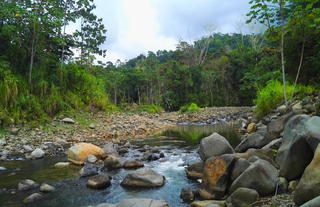 Manoas - River