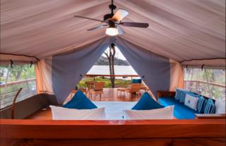 Tent suite view - Looking Out