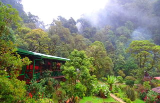 Restaurant - Trogon Lodge