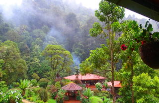 Trogon Lodge