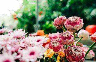 Hanoi old quarter - flower market