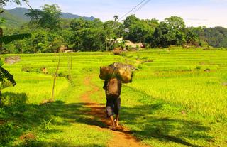 Pu Luong - Vietnam
